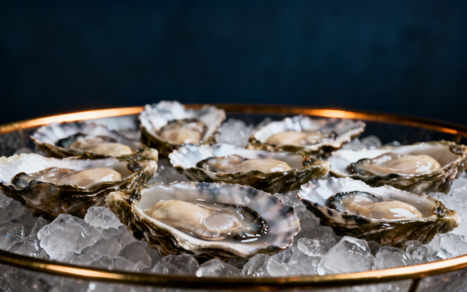 Fresh Gulf oysters on the half shell on crushed ice in a brass-rimmed tray, against deep maritime navy